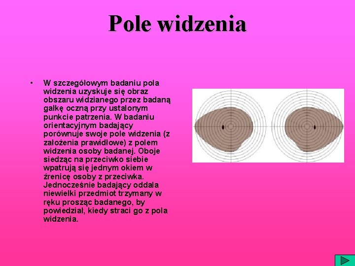 Pole widzenia • W szczegółowym badaniu pola widzenia uzyskuje się obraz obszaru widzianego przez