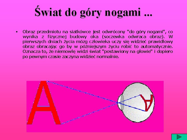 Świat do góry nogami. . . • Obraz przedmiotu na siatkówce jest odwrócony "do