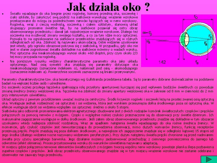  • • Jak działa oko ? Światło wpadające do oka biegnie przez rogówkę,