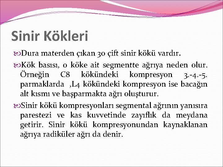 Sinir Kökleri Dura materden çıkan 30 çift sinir kökü vardır. Kök basısı, o köke