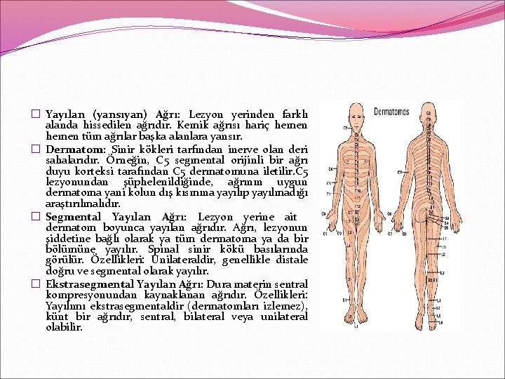 � Yayılan (yansıyan) Ağrı: Lezyon yerinden farklı alanda hissedilen ağrıdır. Kemik ağrısı hariç hemen