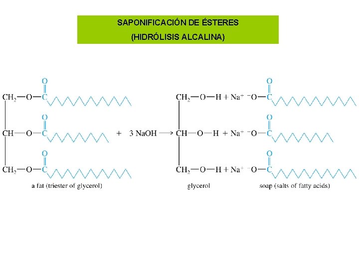 SAPONIFICACIÓN DE ÉSTERES (HIDRÓLISIS ALCALINA) 