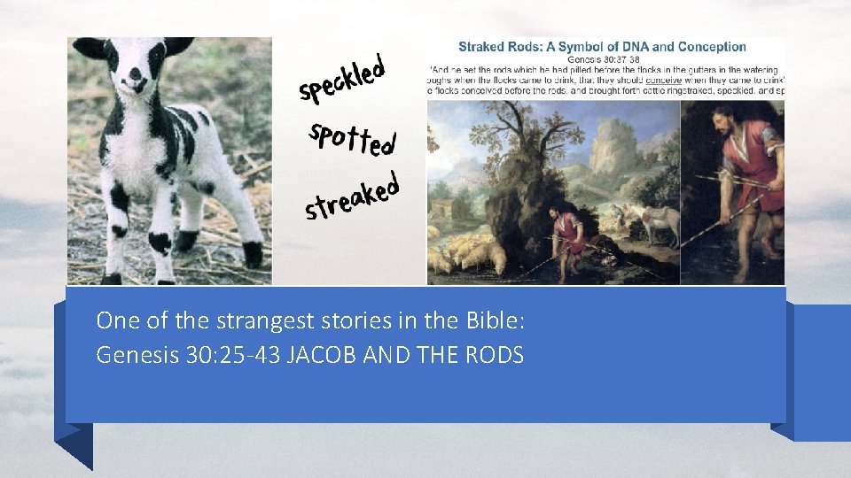One of the strangest stories in the Bible: Genesis 30: 25 -43 JACOB AND