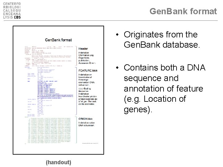 Gen. Bank format • Originates from the Gen. Bank database. • Contains both a