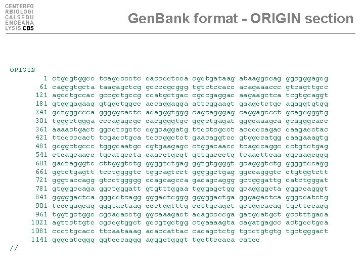 Gen. Bank format - ORIGIN section ORIGIN 1 61 121 181 241 301 361