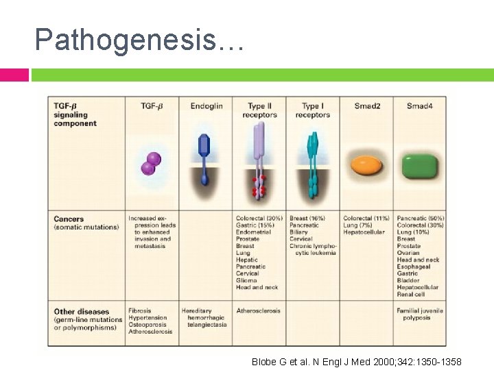 Pathogenesis… Blobe G et al. N Engl J Med 2000; 342: 1350 -1358 