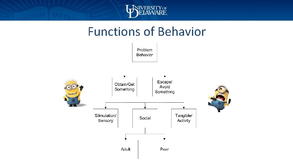 Functions of Behavior 