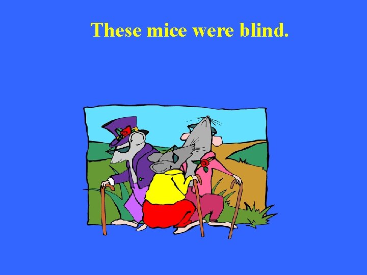 These mice were blind. 