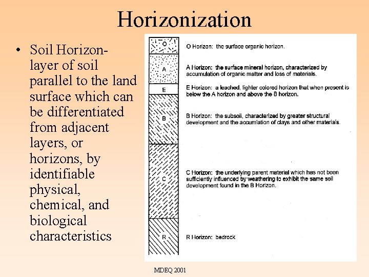 Horizonization • Soil Horizon- layer of soil parallel to the land surface which can