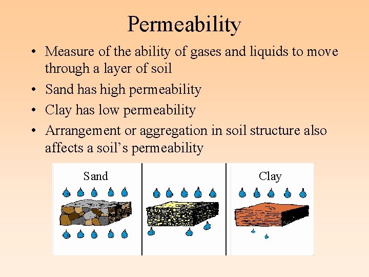 Permeability • Measure of the ability of gases and liquids to move through a