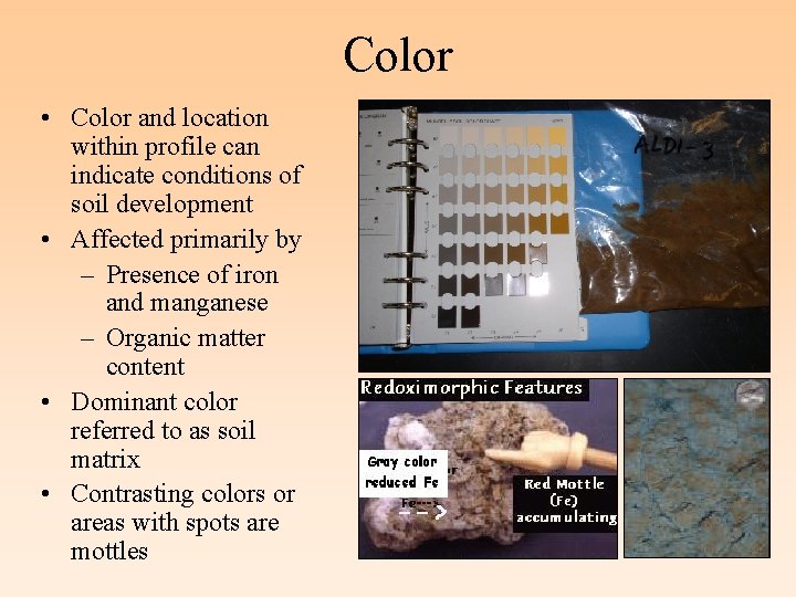 Color • Color and location within profile can indicate conditions of soil development •