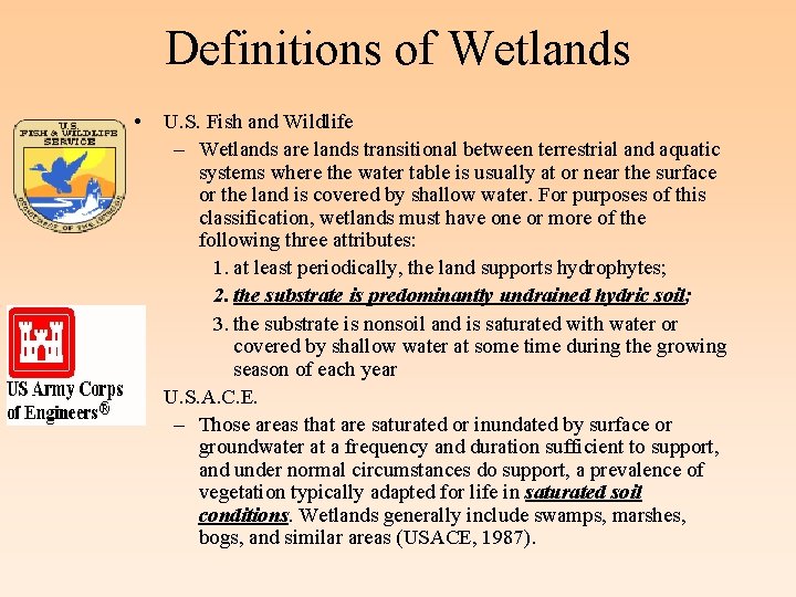 Definitions of Wetlands • • U. S. Fish and Wildlife – Wetlands are lands