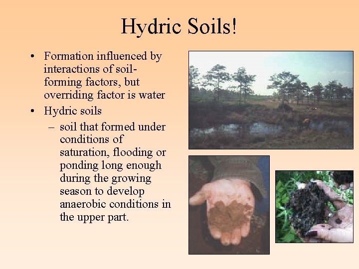 Hydric Soils! • Formation influenced by interactions of soilforming factors, but overriding factor is