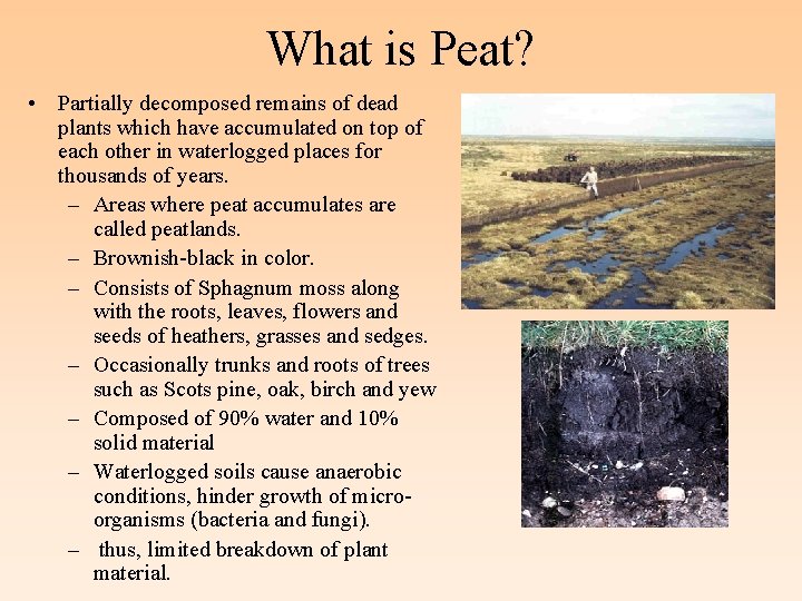 What is Peat? • Partially decomposed remains of dead plants which have accumulated on