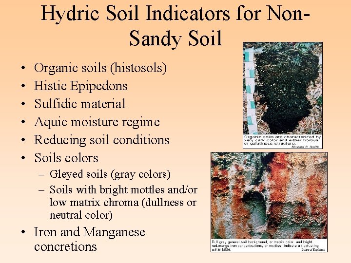 Hydric Soil Indicators for Non. Sandy Soil • • • Organic soils (histosols) Histic