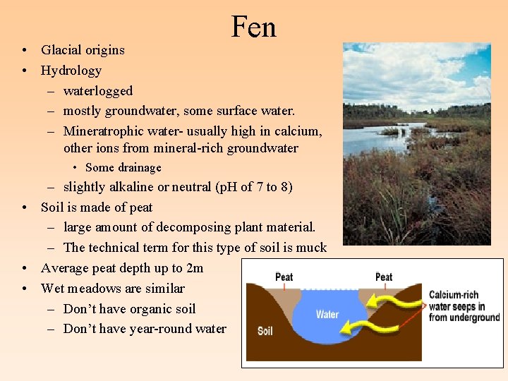 Fen • Glacial origins • Hydrology – waterlogged – mostly groundwater, some surface water.