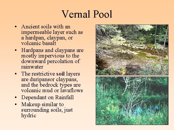 Vernal Pool • Ancient soils with an impermeable layer such as a hardpan, claypan,