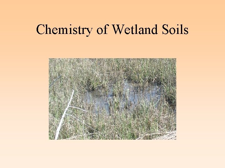 Chemistry of Wetland Soils 