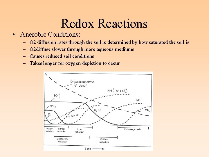 Redox Reactions • Anerobic Conditions: – – O 2 diffusion rates through the soil