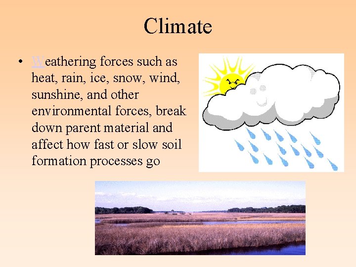 Climate • Weathering forces such as heat, rain, ice, snow, wind, sunshine, and other