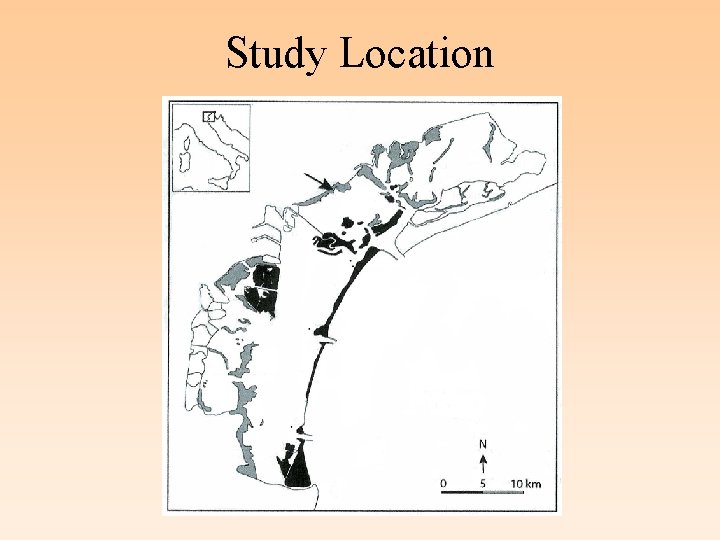Study Location 