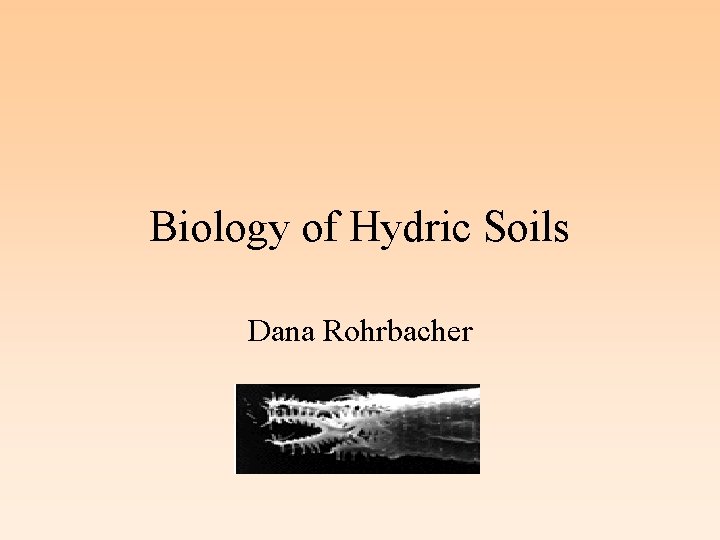 Biology of Hydric Soils Dana Rohrbacher 