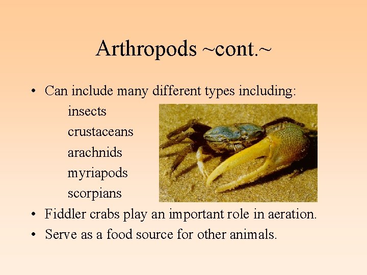 Arthropods ~cont. ~ • Can include many different types including: insects crustaceans arachnids myriapods
