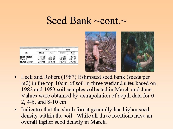 Seed Bank ~cont. ~ • Leck and Robert (1987) Estimated seed bank (seeds per