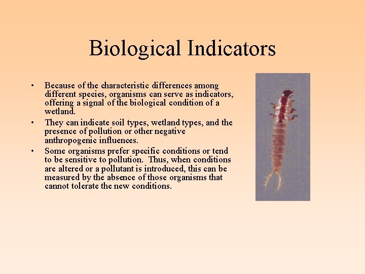 Biological Indicators • • • Because of the characteristic differences among different species, organisms