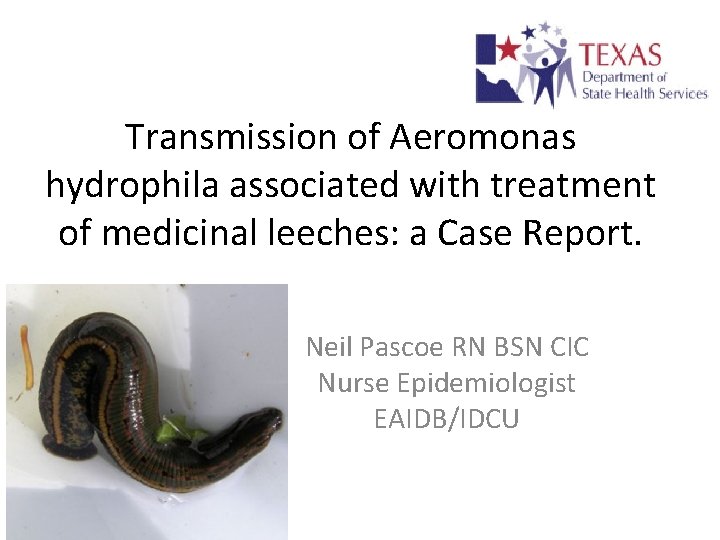 Transmission of Aeromonas hydrophila associated with treatment of medicinal leeches: a Case Report. Neil