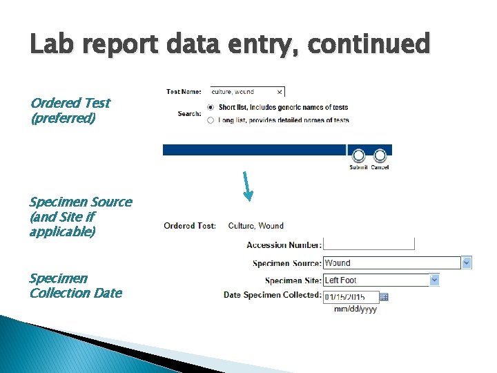 Lab report data entry, continued Ordered Test (preferred) Specimen Source (and Site if applicable)