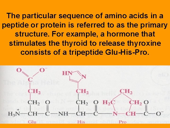  The particular sequence of amino acids in a peptide or protein is referred