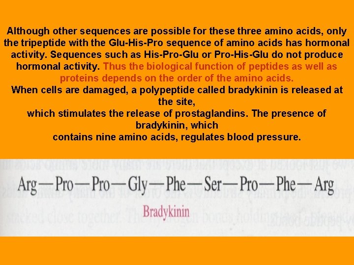 Although other sequences are possible for these three amino acids, only the tripeptide with