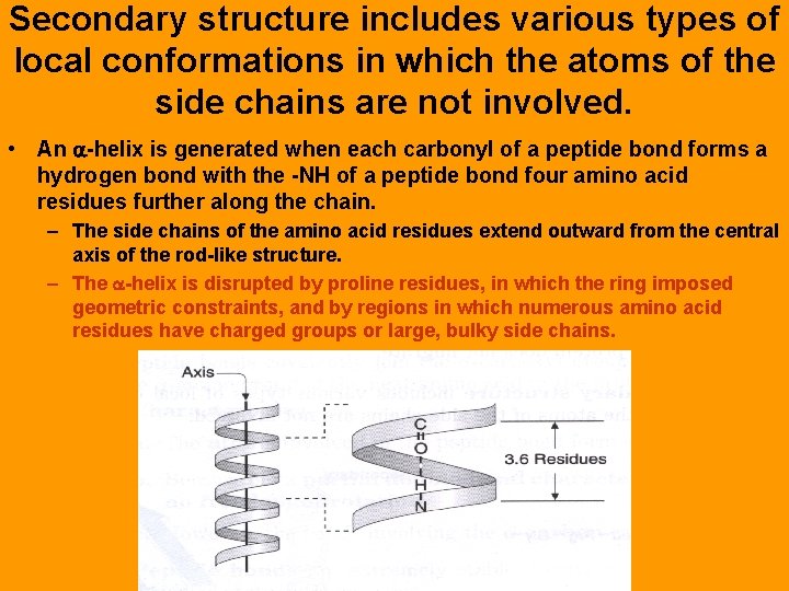 Secondary structure includes various types of local conformations in which the atoms of the