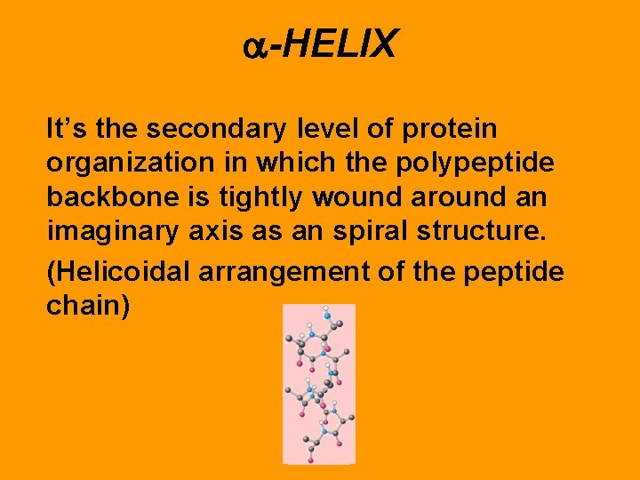  -HELIX It’s the secondary level of protein organization in which the polypeptide backbone