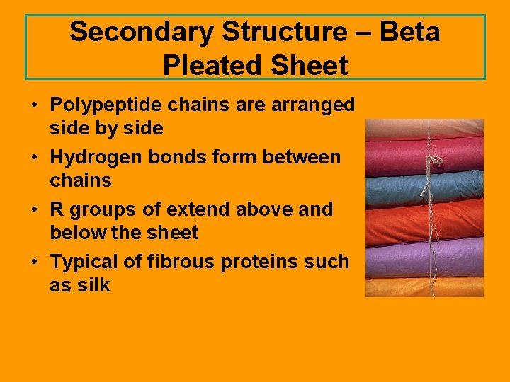 Secondary Structure – Beta Pleated Sheet • Polypeptide chains are arranged side by side