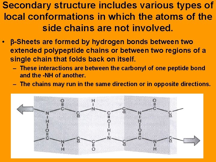 Secondary structure includes various types of local conformations in which the atoms of the