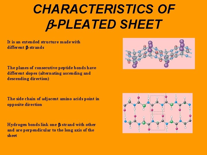 CHARACTERISTICS OF b-PLEATED SHEET It is an extended structure made with different -strands The