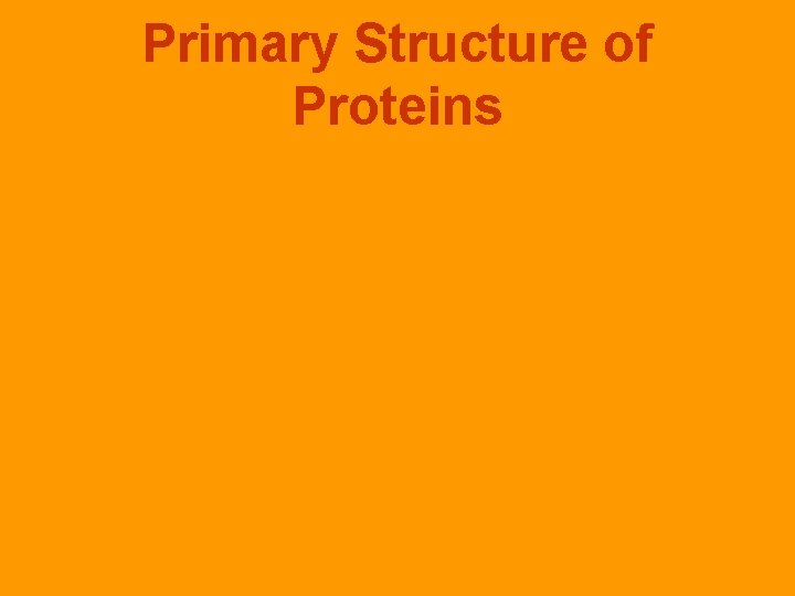 Primary Structure of Proteins 