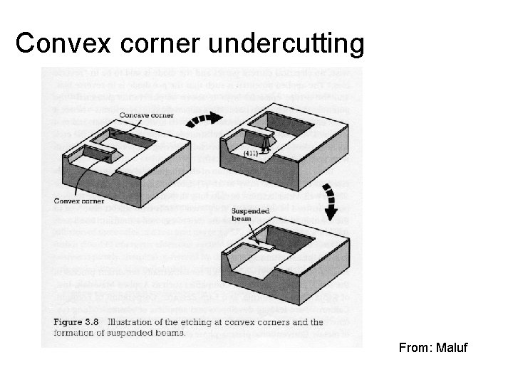 Convex corner undercutting From: Maluf 