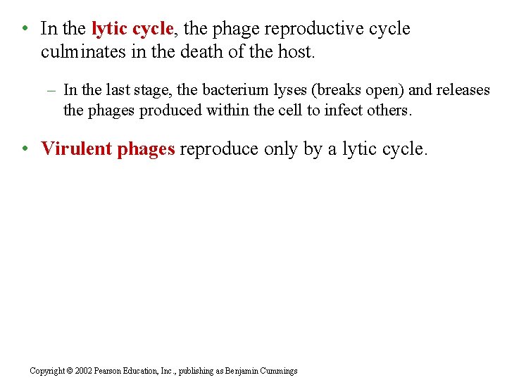  • In the lytic cycle, the phage reproductive cycle culminates in the death
