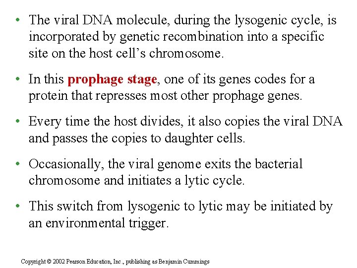  • The viral DNA molecule, during the lysogenic cycle, is incorporated by genetic