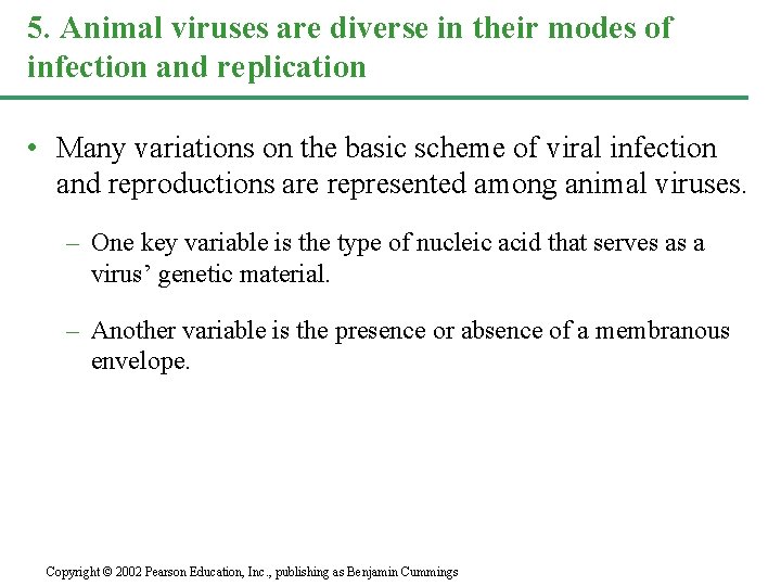 5. Animal viruses are diverse in their modes of infection and replication • Many