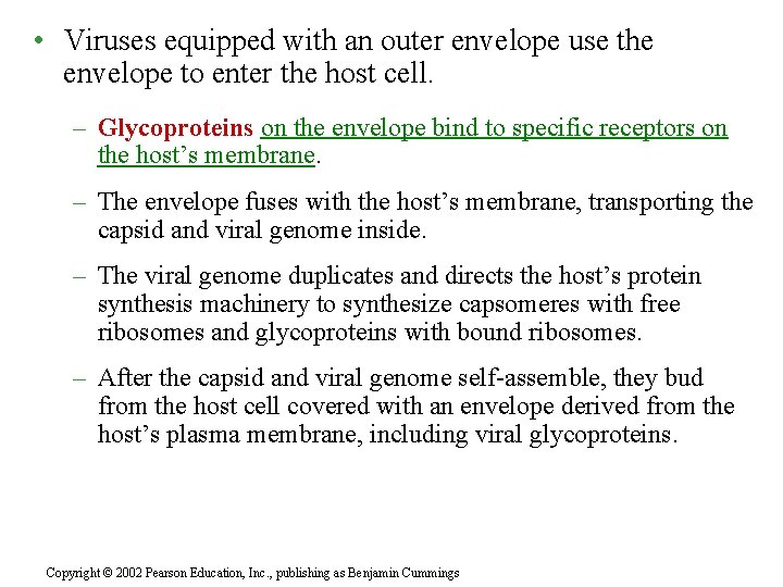  • Viruses equipped with an outer envelope use the envelope to enter the