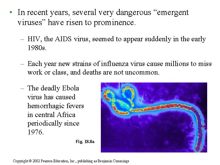  • In recent years, several very dangerous “emergent viruses” have risen to prominence.