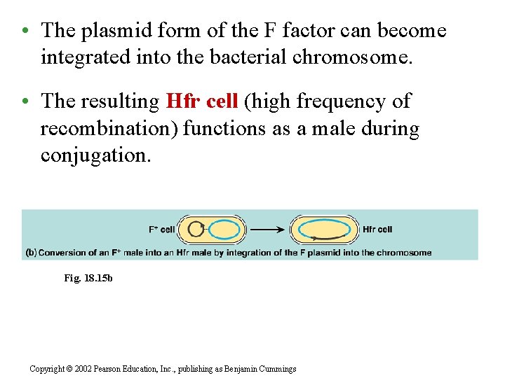  • The plasmid form of the F factor can become integrated into the