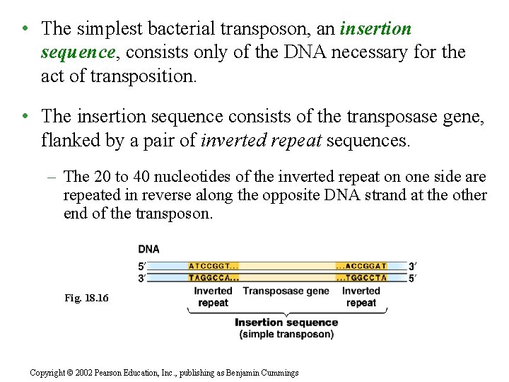  • The simplest bacterial transposon, an insertion sequence, consists only of the DNA