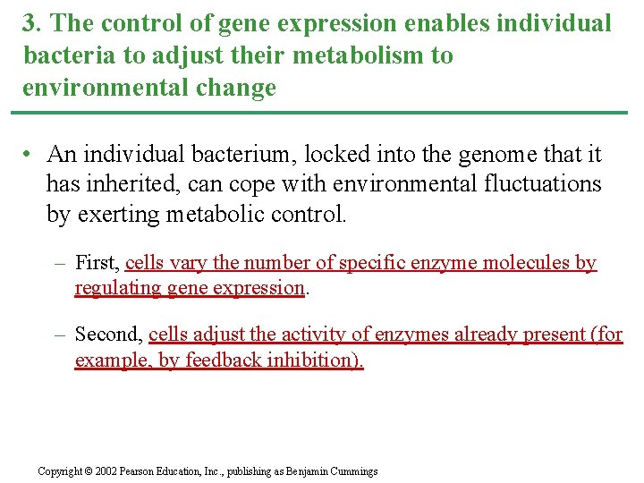 3. The control of gene expression enables individual bacteria to adjust their metabolism to