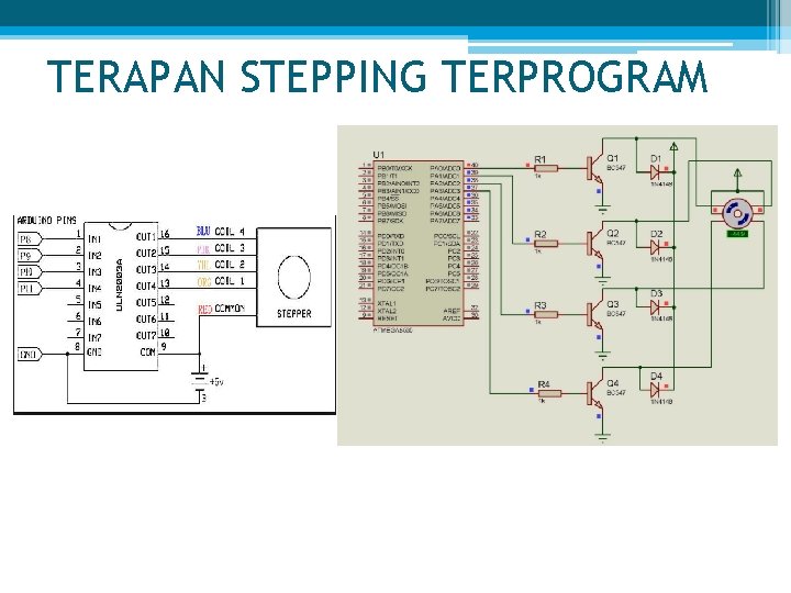 TERAPAN STEPPING TERPROGRAM 