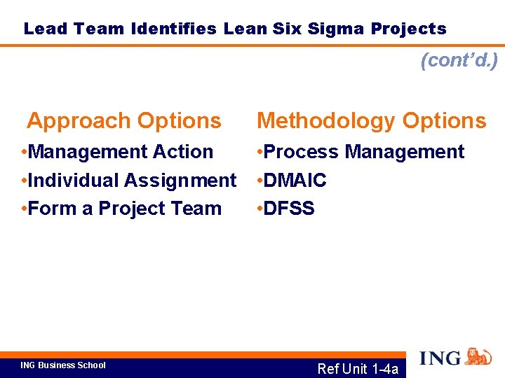 Lead Team Identifies Lean Six Sigma Projects (cont’d. ) Approach Options Methodology Options •
